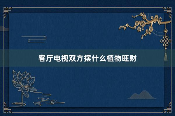 客厅电视双方摆什么植物旺财